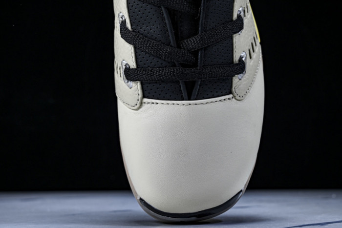 Infinite Archives x Air Jordan 17 Retro Low 