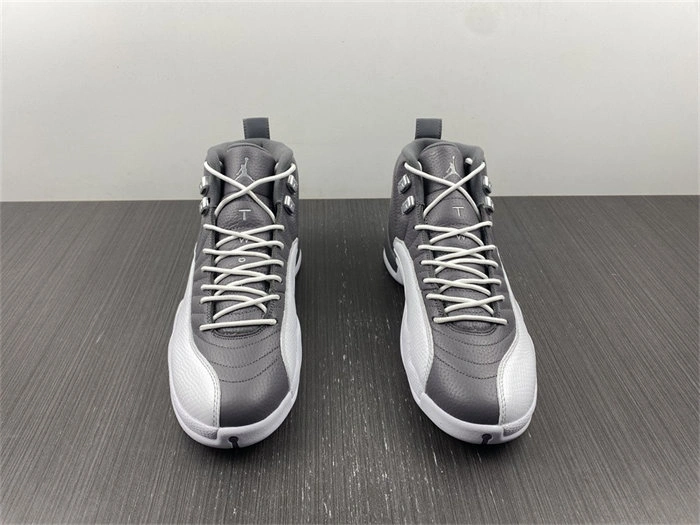 Jordan 12 STEALTH CT8025- Sleek 4144