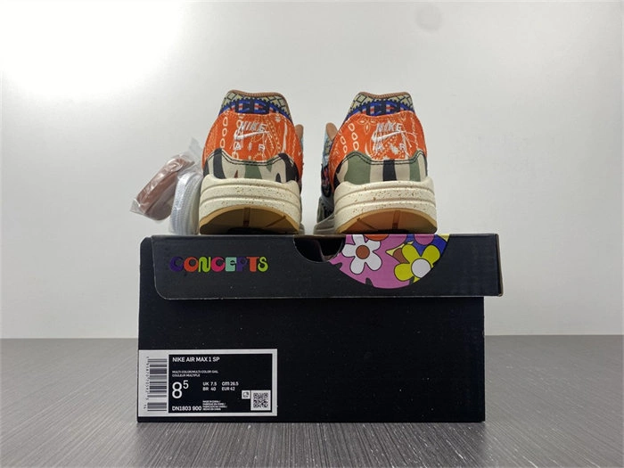 Nike Air Max 1 SP Concepts Heavy DN1803- Resilient 5201